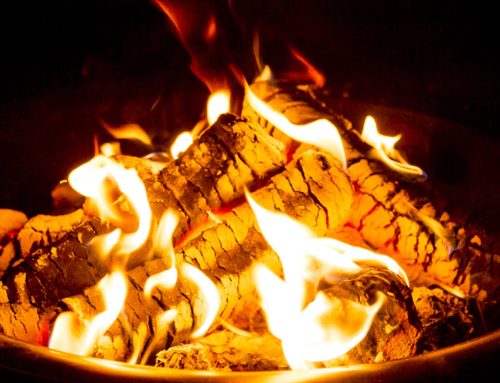 What is the Best Type of Wood for a Campfire?