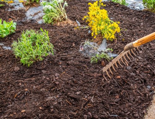 The Best Time of Year to Mulch Your Garden