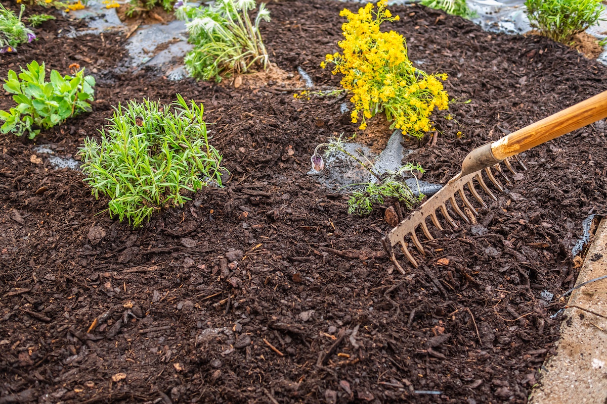spreading_mulch Installing weed control fabric material and bark mulch in a residential garden to control weed spreading